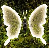 Vlinder LED 60cm warm wit