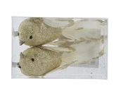 Vogel foam L4b11h4cm chmpge/goud a2 - afbeelding 1