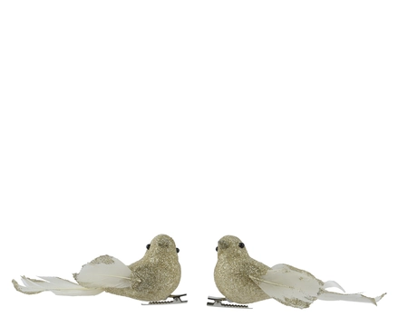 Vogel foam L4b11h4cm chmpge/goud a2 - afbeelding 3