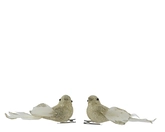 Vogel foam L4b11h4cm chmpge/goud a2 - afbeelding 3