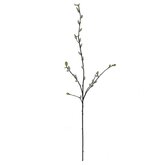 Wilgenknop tak 96cm