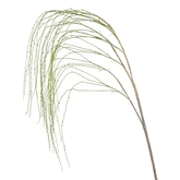 Wilgentak groen - l180cm
