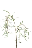 Willow leaf hanging spray 110cm
