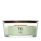 WoodWick Matcha Zest Ellipse Candle