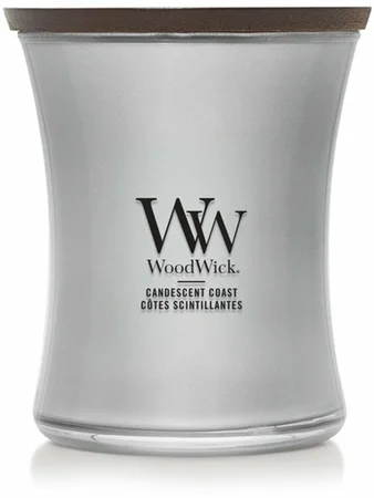WoodWick Precious Metals Candescent Coast Medium Candle - Silver