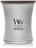 WoodWick Precious Metals Candescent Coast Medium Candle - Silver