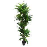 Yucca 180cm