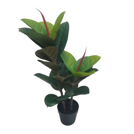 Zijde plant Ficus elastica 70cm
