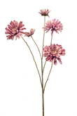 Zinnia spray pink 90cm
