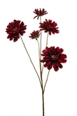 Zinnia spray red 90cm